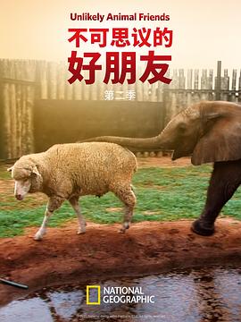 不可思议的好朋友第二季